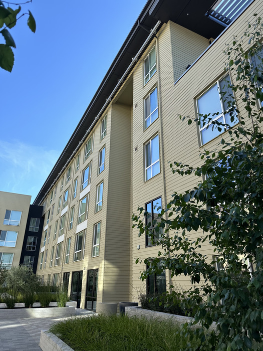 Project Image 8